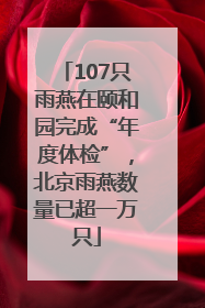 107只雨燕在颐和园完成“年度体检”，北京雨燕数量已超一万只