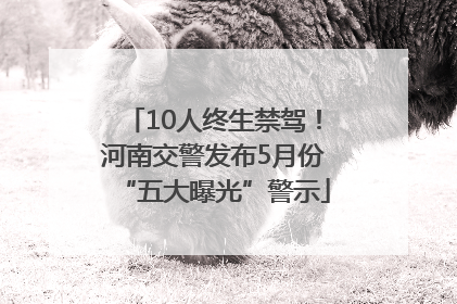 10人终生禁驾！河南交警发布5月份“五大曝光”警示