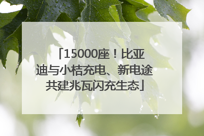 15000座！比亚迪与小桔充电、新电途共建兆瓦闪充生态