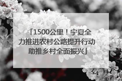 1500公里！宁夏全力推进农村公路提升行动 助推乡村全面振兴