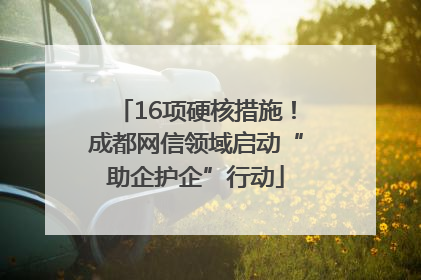 16项硬核措施！成都网信领域启动“助企护企”行动