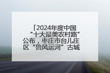 2024年度中国“十大最美农村路”公布，枣庄市台儿庄区“鲁风运河”古城文化廊道上榜！