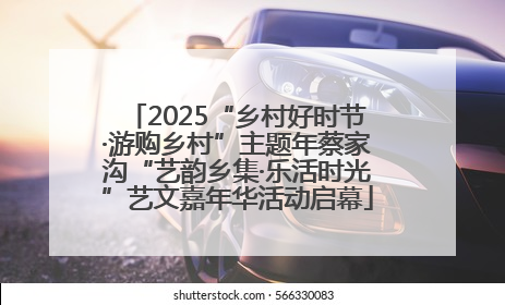 2025“乡村好时节·游购乡村”主题年蔡家沟“艺韵乡集·乐活时光”艺文嘉年华活动启幕