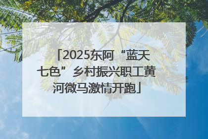 2025东阿“蓝天七色”乡村振兴职工黄河微马激情开跑