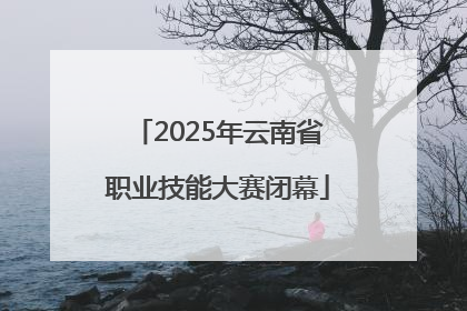 2025年云南省职业技能大赛闭幕