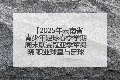 2025年云南省青少年足球春季学期周末联赛冠亚季军揭晓 职业球星与足球小将共享荣耀时刻