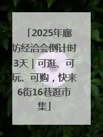 2025年廊坊经洽会倒计时3天｜可逛、可玩、可购，快来6街16巷逛市集