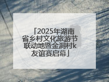 2025年湖南省乡村文化旅游节联动地暨金洞村k友谊赛启幕