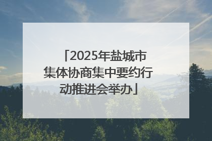 2025年盐城市集体协商集中要约行动推进会举办