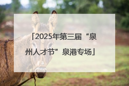 2025年第三届“泉州人才节”泉港专场