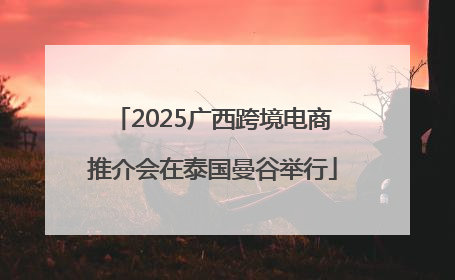 2025广西跨境电商推介会在泰国曼谷举行