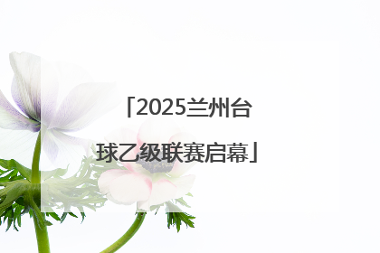 2025兰州台球乙级联赛启幕