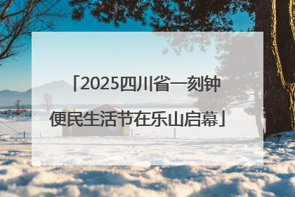 2025四川省一刻钟便民生活节在乐山启幕