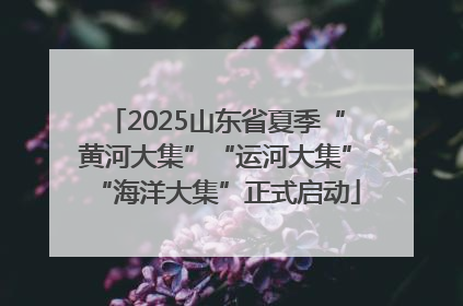 2025山东省夏季“黄河大集”“运河大集”“海洋大集”正式启动