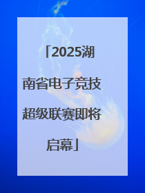 2025湖南省电子竞技超级联赛即将启幕