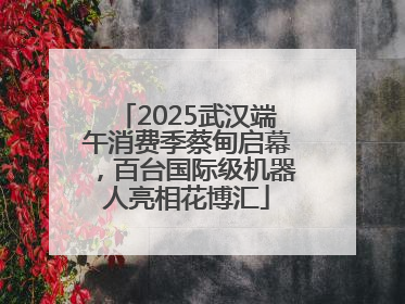 2025武汉端午消费季蔡甸启幕，百台国际级机器人亮相花博汇