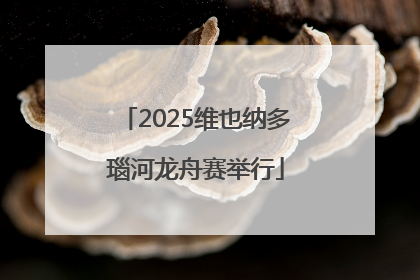 2025维也纳多瑙河龙舟赛举行