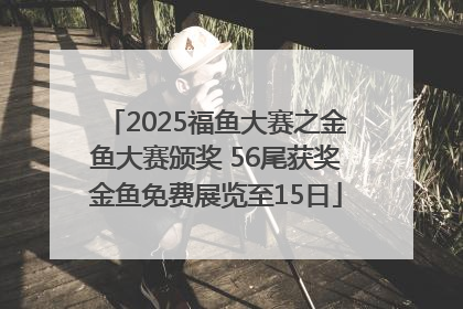 2025福鱼大赛之金鱼大赛颁奖 56尾获奖金鱼免费展览至15日