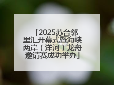 2025苏台邻里汇开幕式暨海峡两岸（洋河）龙舟邀请赛成功举办