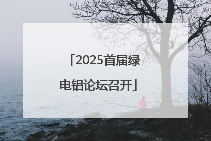 2025首届绿电铝论坛召开