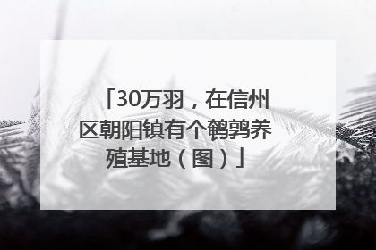 30万羽，在信州区朝阳镇有个鹌鹑养殖基地（图）