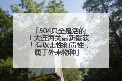 504只全是活的！大连海关最新截获！有攻击性和毒性，属于外来物种