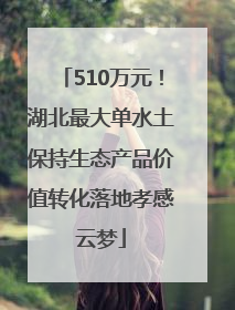 510万元！湖北最大单水土保持生态产品价值转化落地孝感云梦