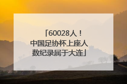 60028人！中国足协杯上座人数纪录属于大连