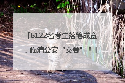 6122名考生落笔成章，临清公安“交卷”！