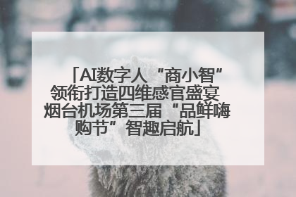 AI数字人“商小智”领衔打造四维感官盛宴 烟台机场第三届“品鲜嗨购节”智趣启航