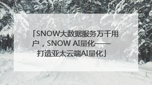 SNOW大数据服务万千用户，SNOW AI量化——打造亚太云端AI量化