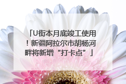 U街本月底竣工使用！新疆阿拉尔市胡杨河畔将新增“打卡点”